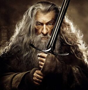 Perruque et barbe Gandalf - Le Seigneur des Anneaux