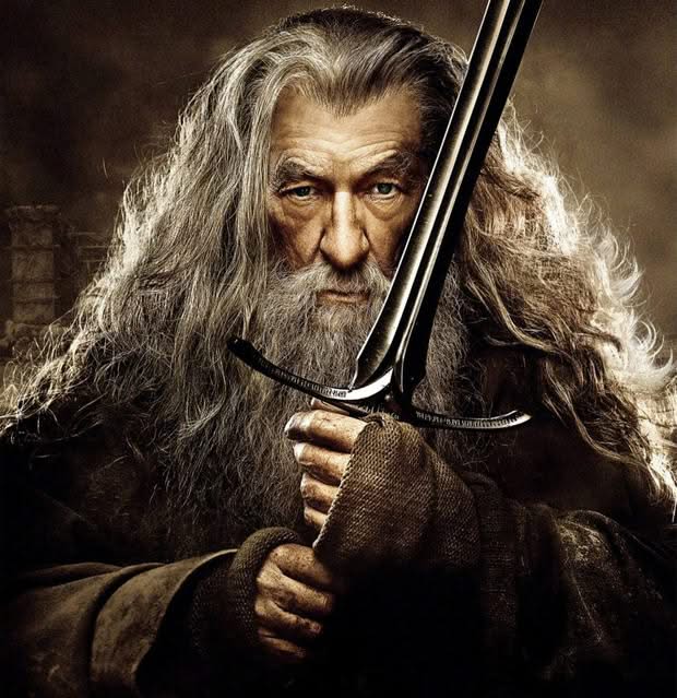 Perruque et barbe Gandalf - Le Seigneur des Anneaux