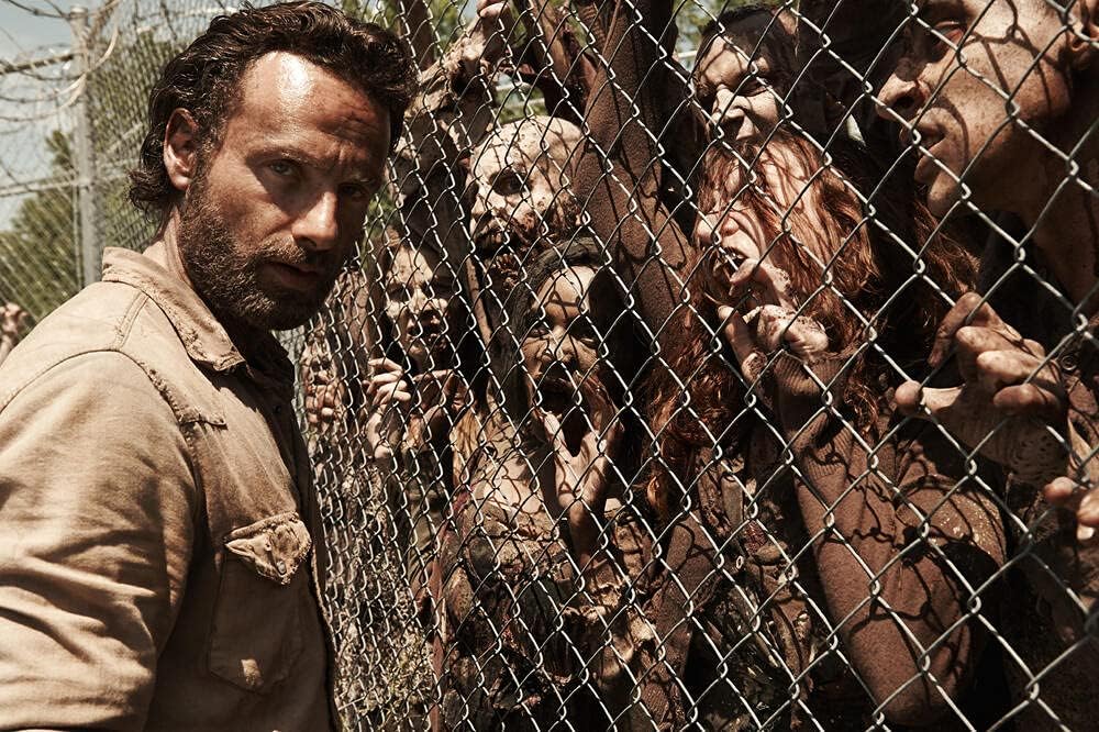 Coffret intégral saison 4 The Walking Dead – Image 5