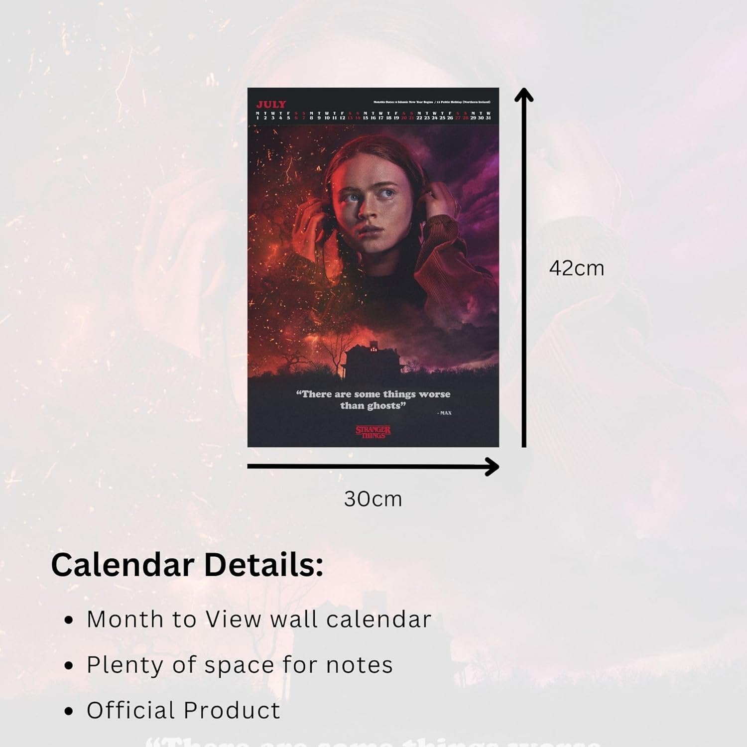 Calendrier Stranger Things 2024 édition spéciale avec visuels détachables à encadrer – Image 5
