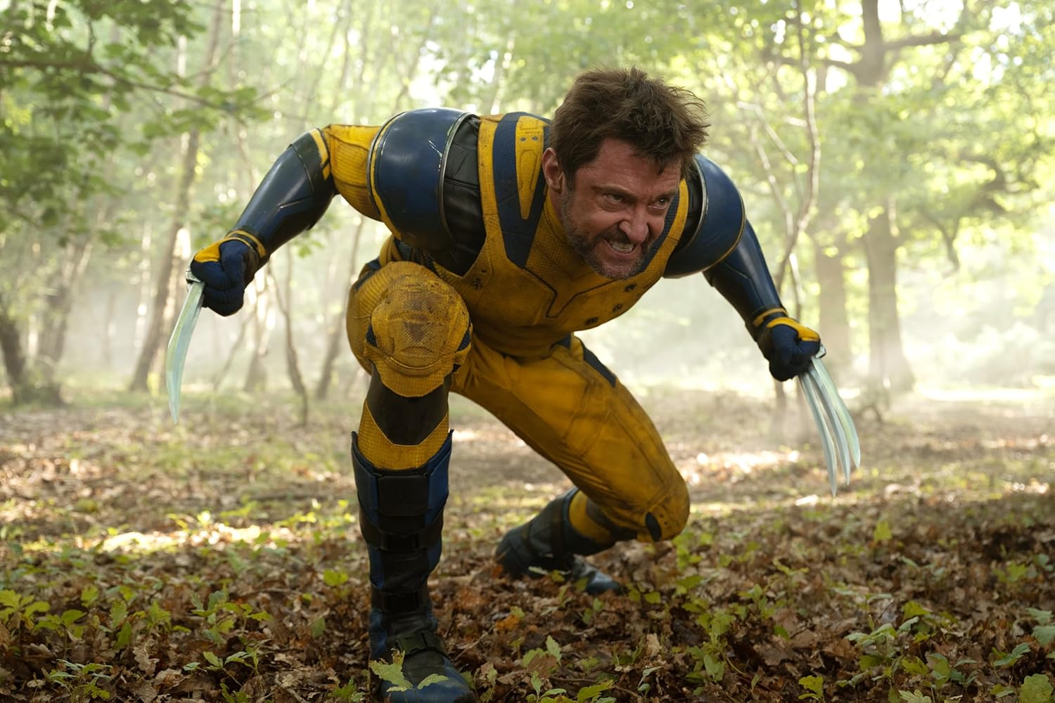 DVD Deadpool & Wolverine pour votre collection – Image 4