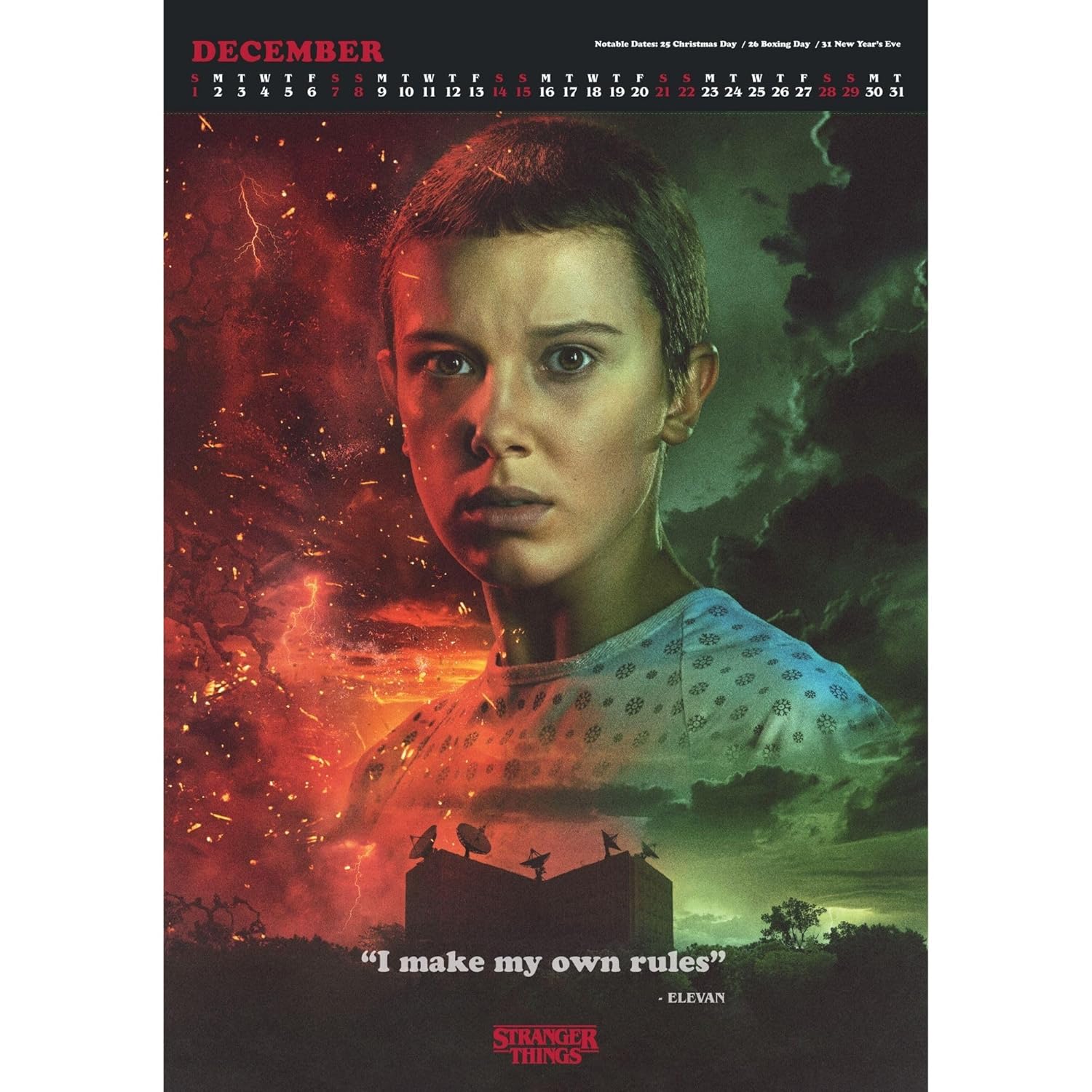 Calendrier Stranger Things 2024 édition spéciale avec visuels détachables à encadrer – Image 2