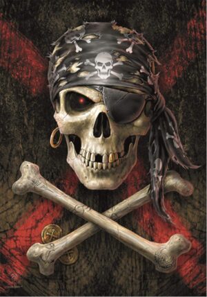 Drapeau Pirate Skull Anne Stokes en polyester
