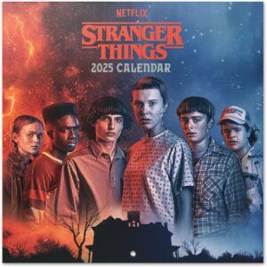 Calendrier mural Stranger Things 2025 avec visuels saison 4